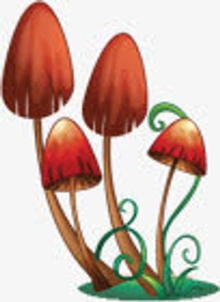 森系灯笼蘑菇婚礼迎宾区图片免抠