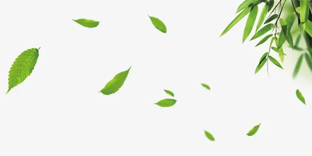 大自然叶子装饰免抠漂浮叶子元素