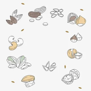 手绘各种坚果插画免抠免抠
