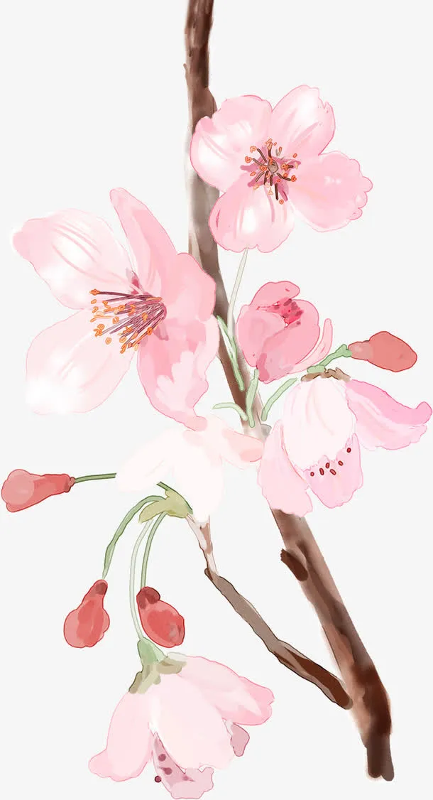 春季粉色古风桃花免抠