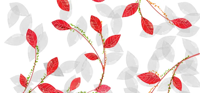 红色花瓣手绘彩色banner背景高清