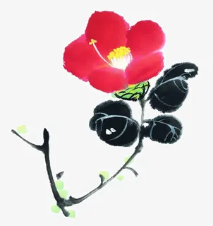 彩墨花卉免抠