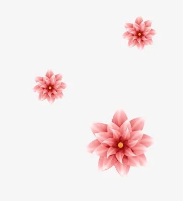 花瓣免抠