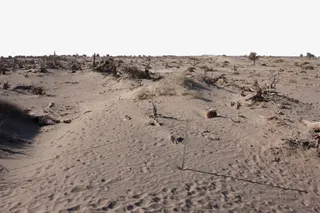 荒芜广阔旅游塞外免抠图免抠