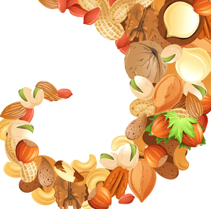 手绘矢量干果海报背景高清