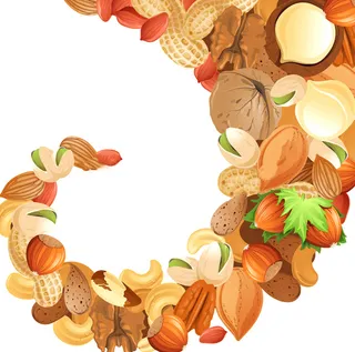 手绘矢量干果海报背景高清