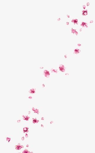 粉色漂浮花朵免抠