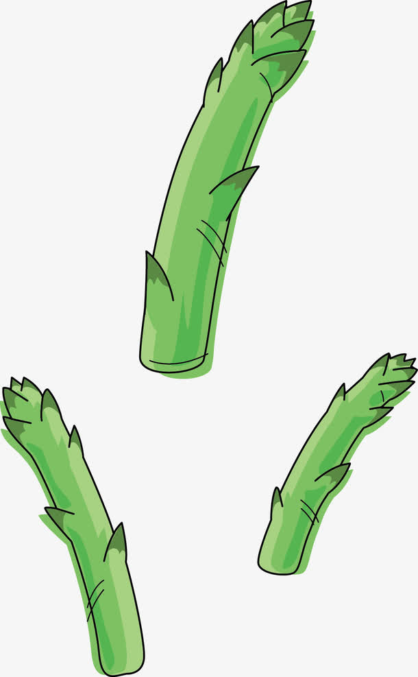 竹笋嫩芽免抠