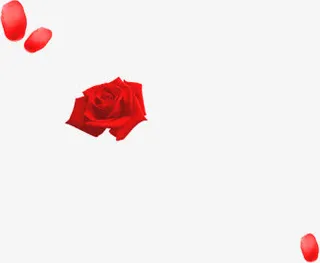 玫瑰花漂浮免抠