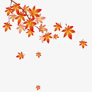 红色枫叶素材免抠