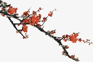中国风手绘红色梅花免抠