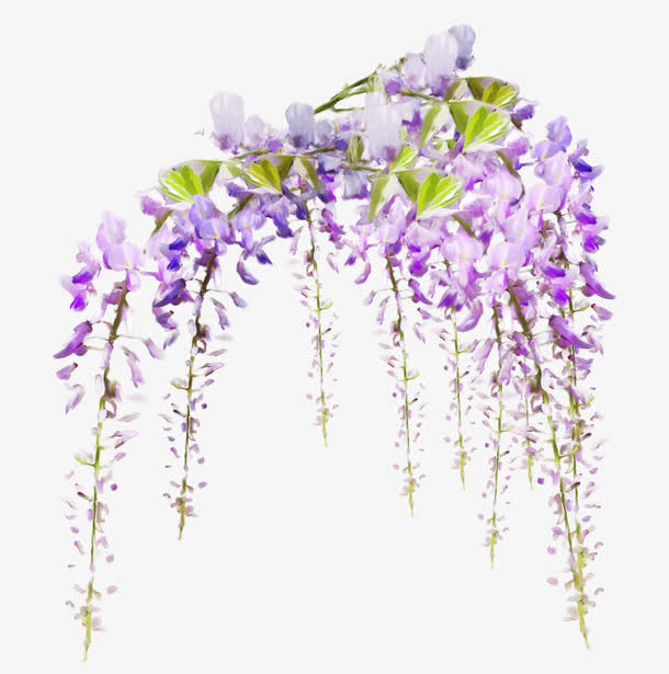鲜花图案免抠