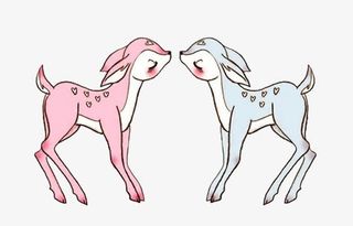 相亲相爱的小鹿免抠