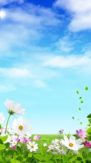 春天花朵H5背景素材高清 春天花朵H5背景素材高清