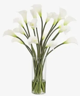 白色马蹄莲玻璃瓶插花软装装饰免抠 白色马蹄莲玻璃瓶插花软装装饰免抠