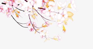 海报设计元素免抠