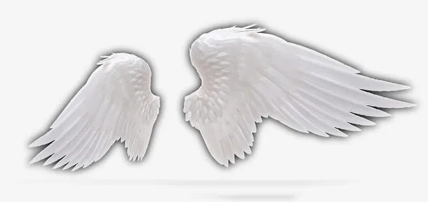 天使之翼 暗黑天使之翼免抠