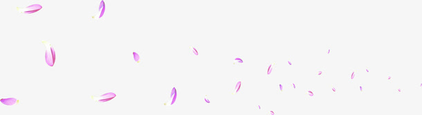 玫粉玫瑰花瓣飘零免抠
