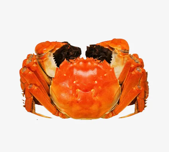 蟹免抠