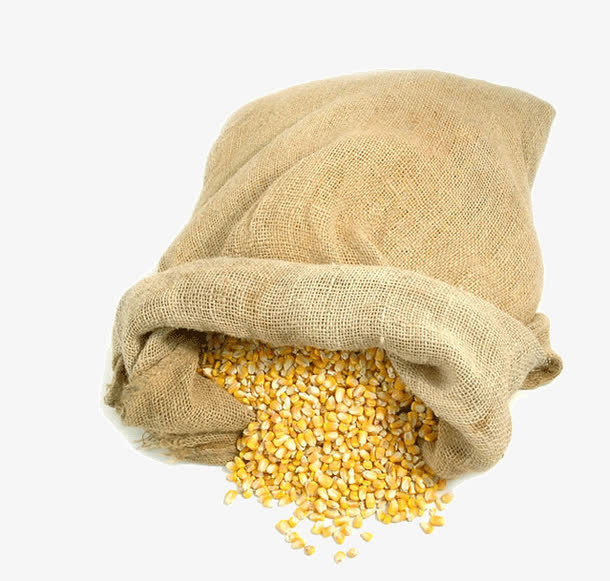 玉米粮食免抠