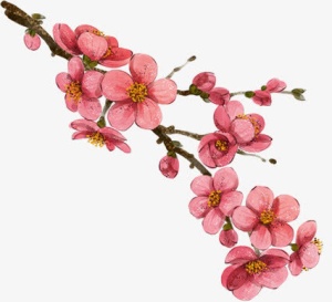 红色古典水墨花朵桃花免抠
