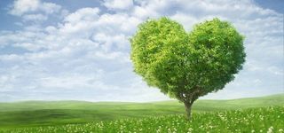 小清新爱心树背景高清