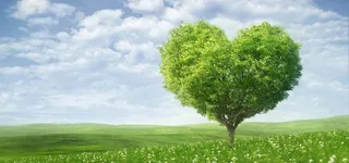 小清新爱心树背景高清