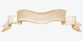 棕色边框栏免抠