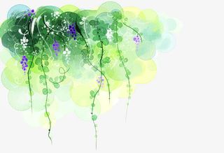 垂吊的葡萄免抠