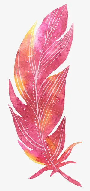枚红色艳丽的羽毛免抠