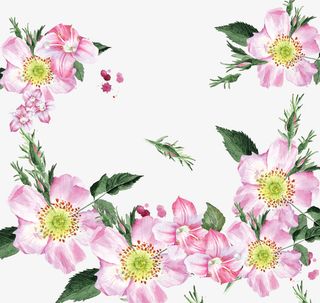 紫色美丽花朵框架免抠