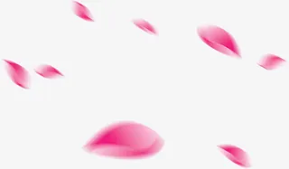 模糊的粉色花瓣免抠