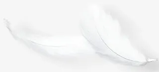 羽毛免抠