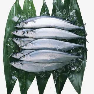 烧烤碳烤秋刀鱼冷藏食材免抠