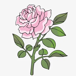 粉色月季花免抠