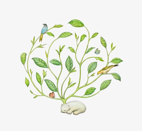 植物动物插画免抠