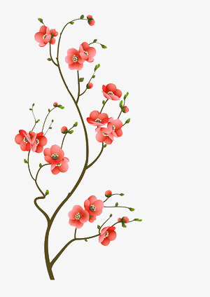 一树枝花免抠