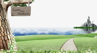 湖泊草地大树背景素材