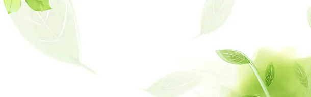 边饰绿叶梦幻绿色免抠