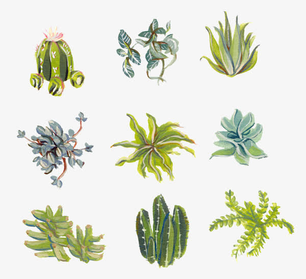 植物背景