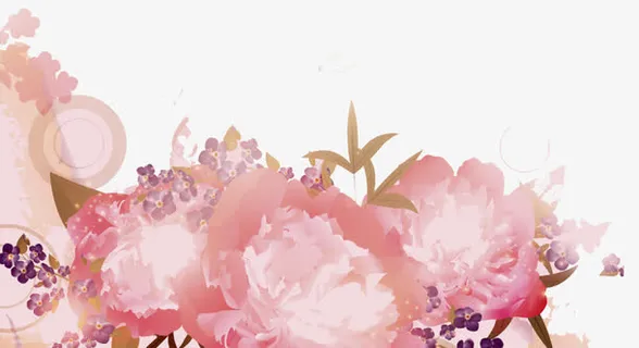 花形边角元素免抠