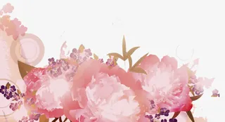 花形边角元素免抠