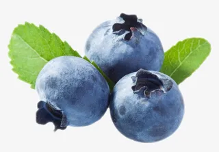 实物带叶子的野生蓝莓免抠