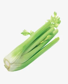 芹菜食物免抠