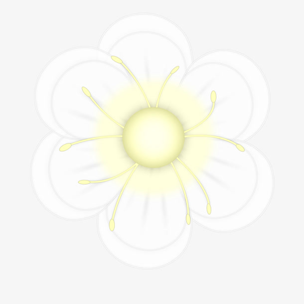 白色花瓣免抠