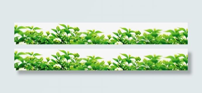 绿色清爽草地风景美景免抠