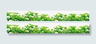 绿色清爽草地风景美景免抠