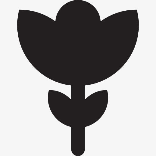 花与李维图标免抠