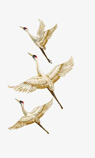 素材素材123免抠