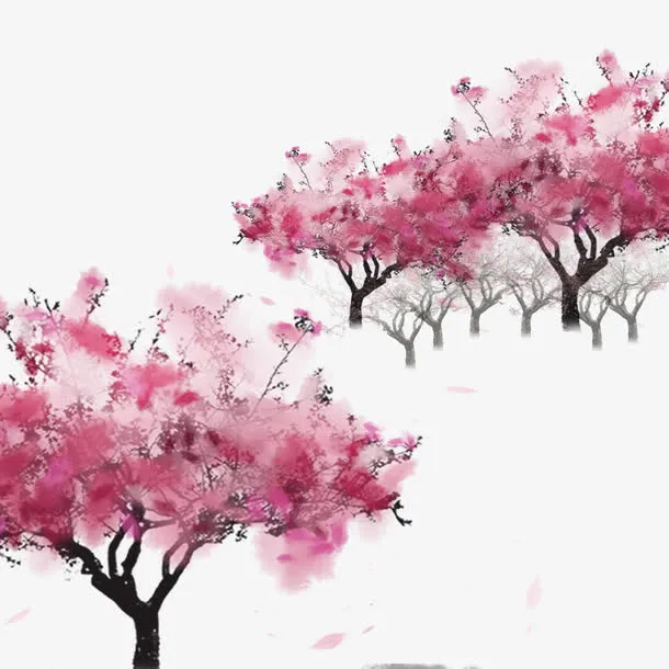 粉红树林免抠